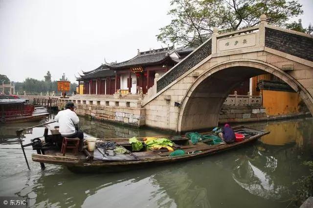 动物帮帮忙保卫家园